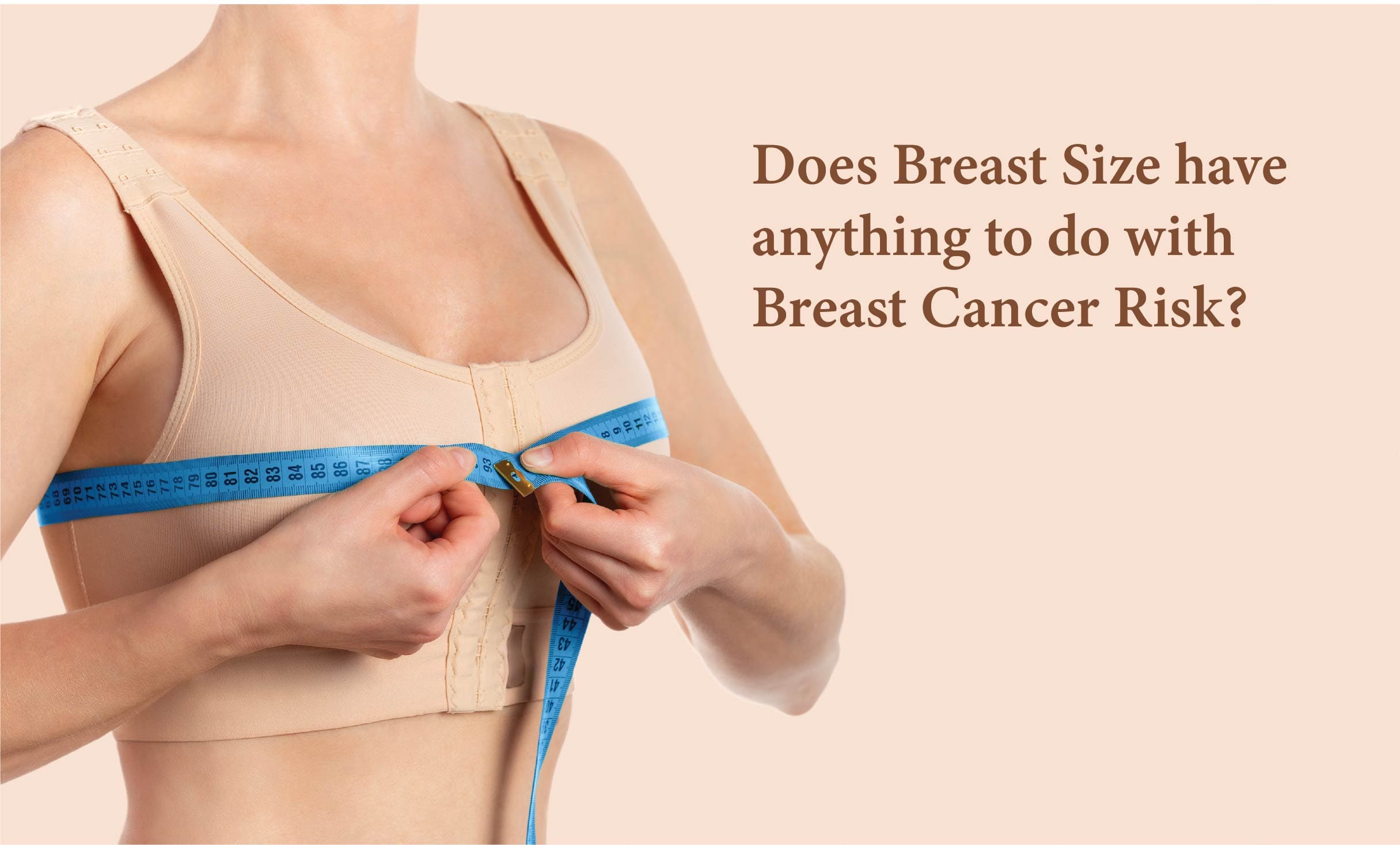 Does Breast Size Affect Breast Cancer Risk?